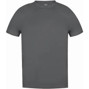 A grey t-shirt with short sleeves and a round neckline, featuring a logo on the collar.