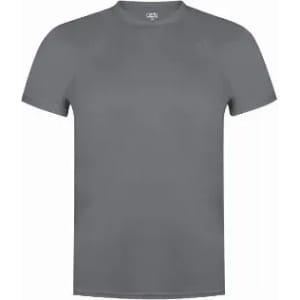 A grey short-sleeved t-shirt with a smooth fabric finish and a logo on the collar.