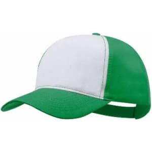 A green and white cap with a curved brim and an adjustable strap at the back, featuring a logo.