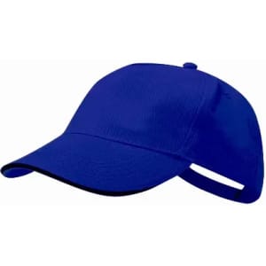 A blue cap with a curved brim and a strap at the back, featuring a logo.