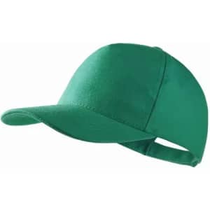 A green cap with a curved peak and an adjustable strap at the back. Features a logo on the front.