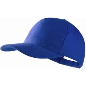 A blue cap with a curved brim and an adjustable strap at the back. It features a logo on the front.