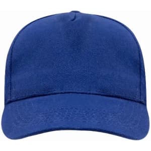 A blue cap with a curved brim and a structured design, featuring a blank front and no visible logos.