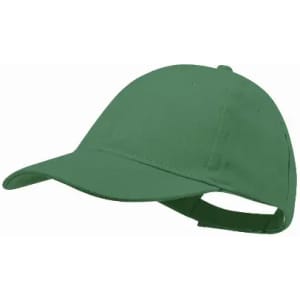 A green baseball cap with a curved brim and adjustable strap at the back, featuring a simple design.