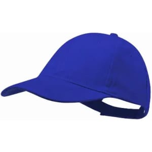 A blue cap with a curved brim and an adjustable strap at the back, featuring a logo.