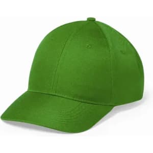 A green baseball cap with a curved brim and six panels, featuring a logo on the front.