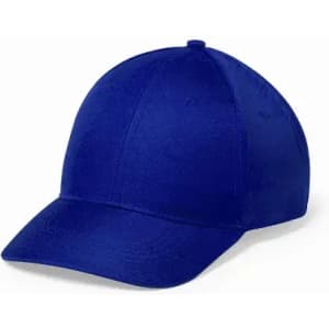 A blue cap with a curved peak and a structured design. The cap features a logo on the front.
