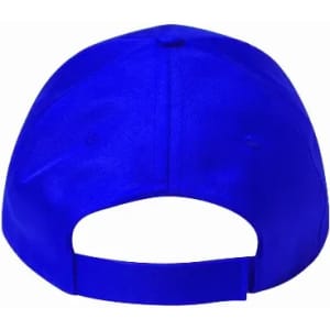 A blue cap with an adjustable strap at the back. It features a logo on the side.