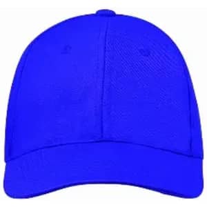 A blue cap with a curved brim and a structured crown. The cap features a logo on the front.