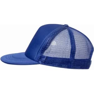 A blue cap with a mesh back and a solid front panel. It features a curved peak.
