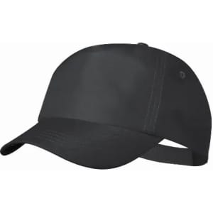 A black cap with a curved brim and adjustable strap at the back. It features a logo on the side.