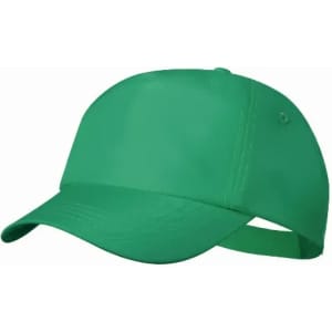 A green cap with a curved brim and adjustable strap. The cap features a logo on the side.