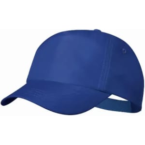 A blue cap with a curved brim and an adjustable strap at the back. The cap has a logo on the side.