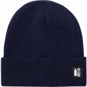 A navy blue beanie hat featuring a folded cuff and a small logo on the side.
