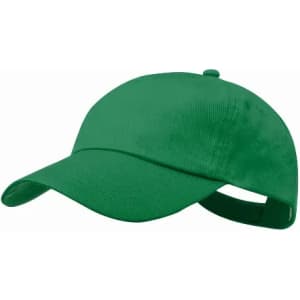 A green cap with a curved brim and an adjustable strap at the back, featuring a logo on one side.