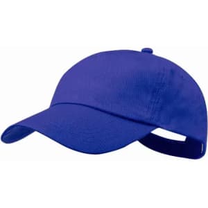 A blue cap with a curved brim and an adjustable strap at the back, featuring a logo.