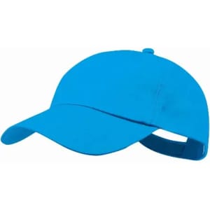 A blue cap with a curved brim and adjustable strap at the back, featuring a logo on the side.