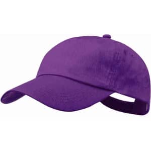 A purple cap with a curved brim and an adjustable strap at the back, featuring a logo.