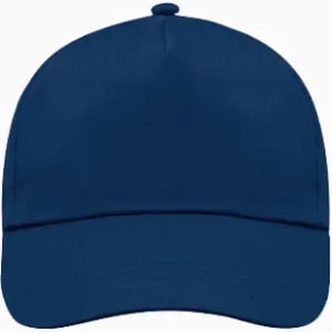 A blue cap with a curved peak and a rounded crown, featuring a plain design and a logo.
