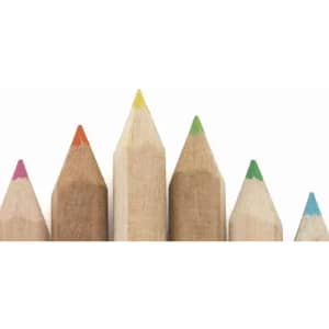 A row of wooden pencils with coloured tips in orange, pink, yellow, green, blue, and natural wood tones.