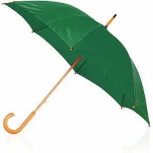 A green umbrella with a curved wooden handle and a streamlined design. It features a metallic frame for support.