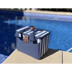 A navy picnic cooler bag with striped sides, featuring two zippered compartments and a handle.