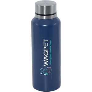A drink bottle in navy blue stainless steel with a silver lid and a logo on the front.