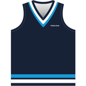 A navy cricket jersey vest with a blue and white striped design and a logo on the front.