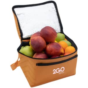 A cooler bag in orange, open and filled with various fresh fruits, featuring a silver insulated interior and a logo.