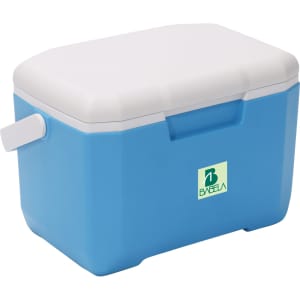 A blue and white 6L cooler box with a handle and a logo on the front.