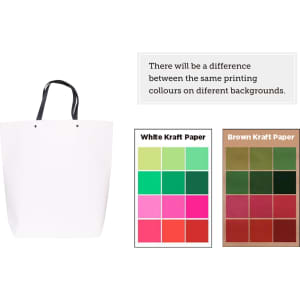 A large white boutique paper bag with black handles, accompanied by colour swatches for Kraft paper options.
