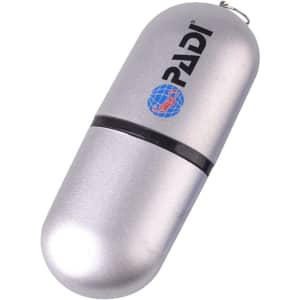 A sleek silver flash drive with a rounded capsule shape and a logo. It features a keychain attachment.