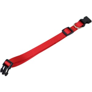 A red dog collar with adjustable straps and a black buckle, featuring a metal D-ring for attaching a leash.