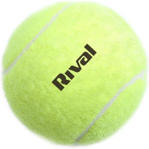 A bright yellow pet tennis ball with white stripes and a logo.