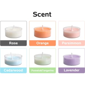 Tealight candles in six colours: rose, orange, persimmon, cedarwood, pomelo & tangerine, and lavender. Each in a clear holder.