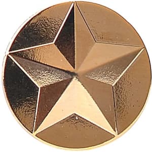 A gold die struck lapel pin with a star design, featuring a shiny finish and a round shape.