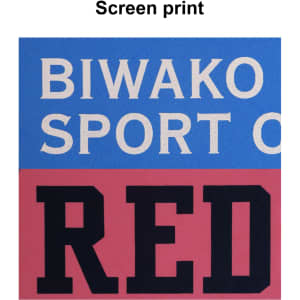 A red screen print featuring the words "BIWAKO" in white and "SPORT" in blue, with a bold black "RED" below.