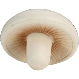 A mushroom-shaped stress reliever in cream colour, featuring detailed gills on the underside. It has a logo.