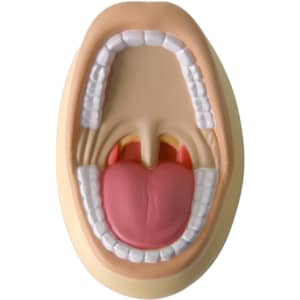 A mouth-shaped stress reliever in beige and pink, featuring teeth, a tongue, and a detailed palate.
