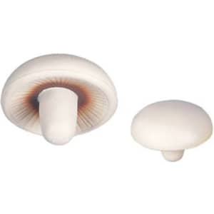 Mushroom shape stress relievers in white with brown detailing, one larger and one smaller, featuring a logo.