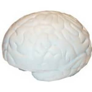 A large, white brain-shaped stress reliever, featuring detailed textures resembling a human brain.