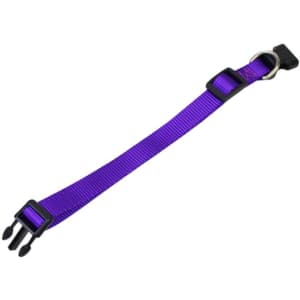 A purple dog collar with a plastic buckle and metal attachment ring. It features durable nylon material.