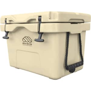 A cream-coloured 25L cooler box with a lid, carry handles, and a logo on the side.