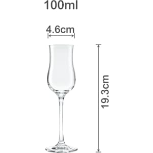 A clear tulip wine glass with measurements of 19.3cm height and 4.6cm diameter, designed for 100ml capacity.
