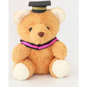 A plush teddy bear in brown with a black graduation cap and a colourful graduation sash. It has a soft white belly and paws.