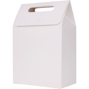 A white die cut handle bag with a triangular top and a handle, featuring a plain design.