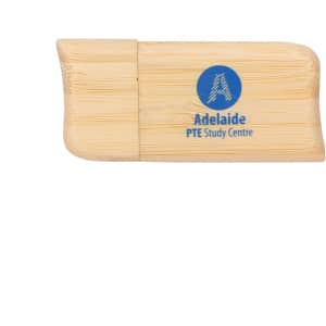A wooden flash drive with a smooth finish and a logo. The colour is a light natural wood tone.