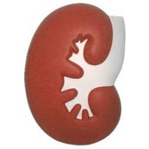 A large kidney-shaped stress reliever in red and white with a smooth finish and a logo.