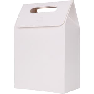 A white die cut handle bag with a top flap and cut-out handle, dimensions 100x160x60mm, featuring a simple design.