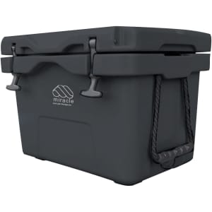 A 25L cooler box in dark grey with a logo and side handles for easy transport.